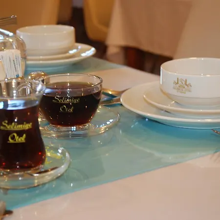 Hotel Selimiye Palace