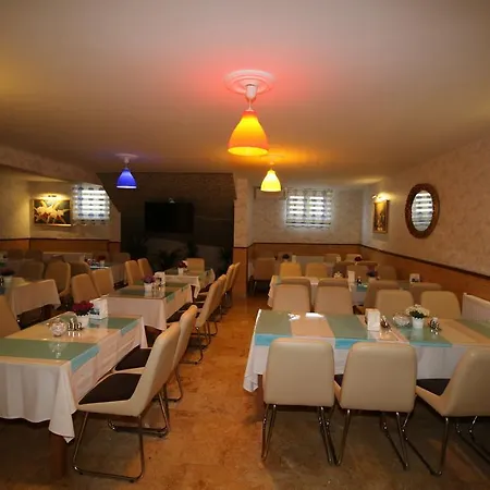 Selimiye Palace 3* Edirne