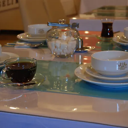 מלון Selimiye Palace 3*