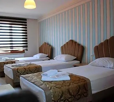 Selimiye Palace 3* Edirne
