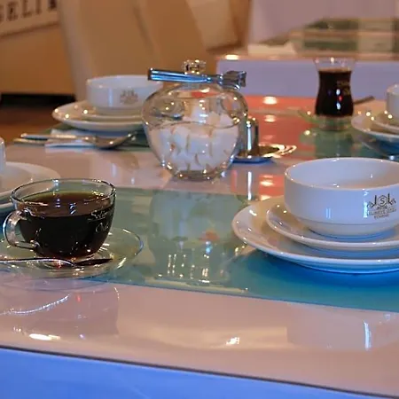 Selimiye Palace Hotel Edirne