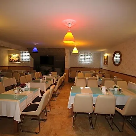 Selimiye Palace 3* Edirne