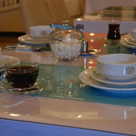 Selimiye Palace Hotel Edirne