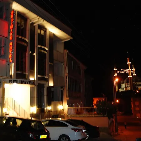 Hotel Selimiye Palace 3*