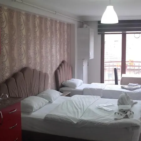 Hotel Selimiye Palace 3*